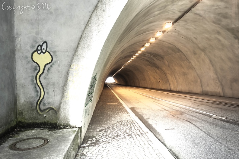 Rappbode Tunnel.jpg